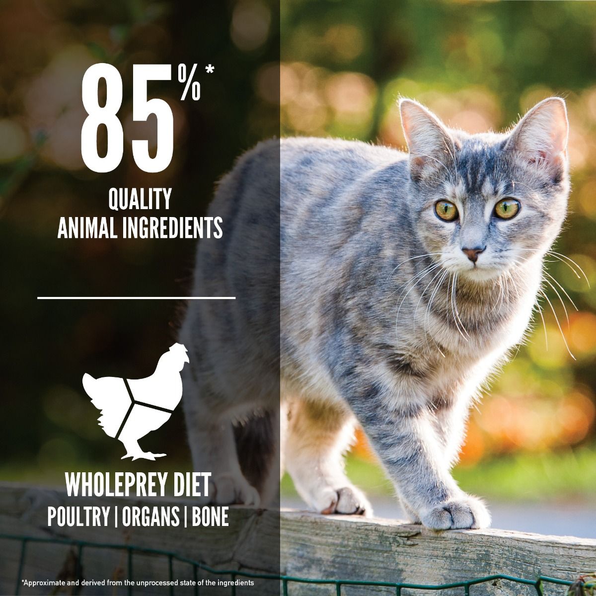 Orijen Original Cat Dry Food - 5.4KG - Shopivet.com