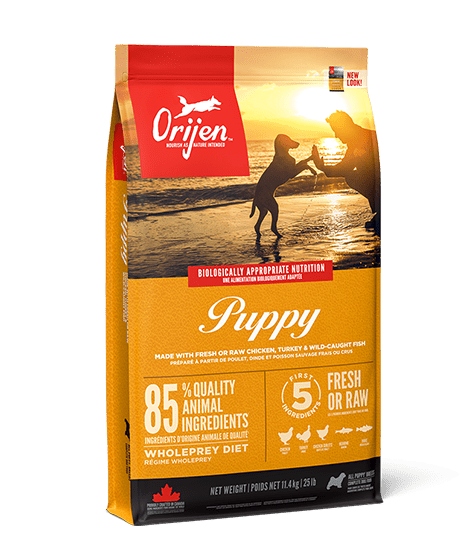 Orijen Puppy Dry Dog Food - Shopivet.com