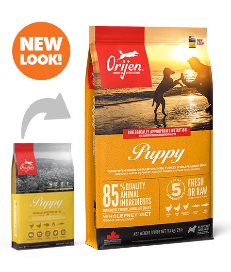 Orijen Puppy Dry Dog Food - Shopivet.com