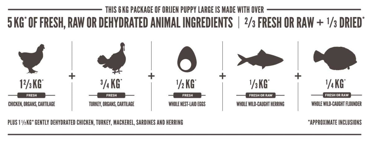 Orijen Puppy Large Dry Dog Food - 11.4KG - Shopivet.com