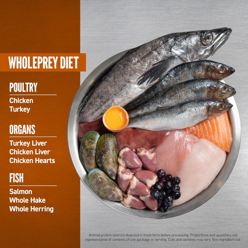 Orijen Puppy Small Breed Dry Dog Food 1.8kg - 1.8KG - Shopivet.com