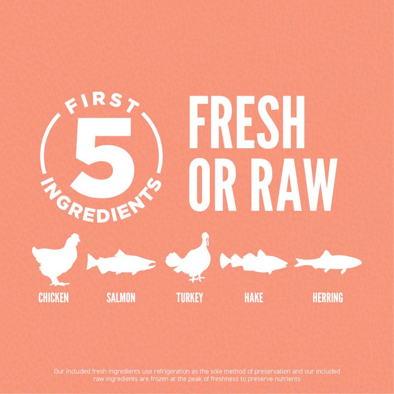 Orijen Puppy Small Breed Dry Dog Food 1.8kg - 1.8KG - Shopivet.com