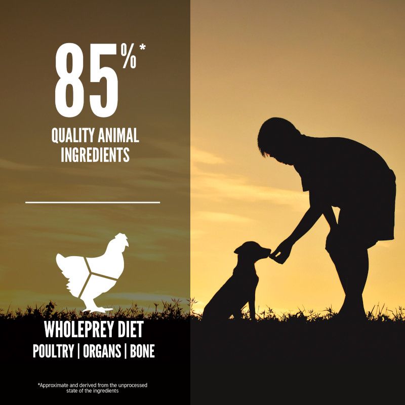 Orijen Puppy Small Breed Dry Dog Food 1.8kg - 1.8KG - Shopivet.com