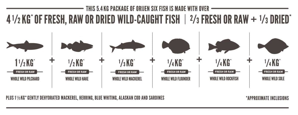 Orijen Six Fish Dry Cat Food - 5.4KG - Shopivet.com