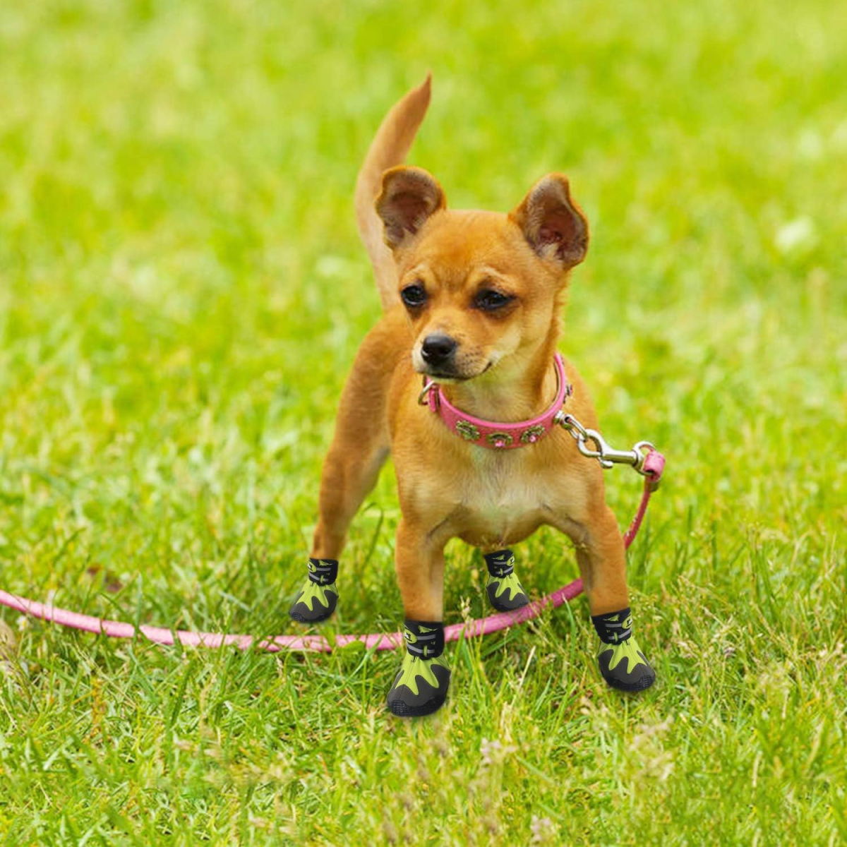 Outdoor Dog Shoes - Green / S