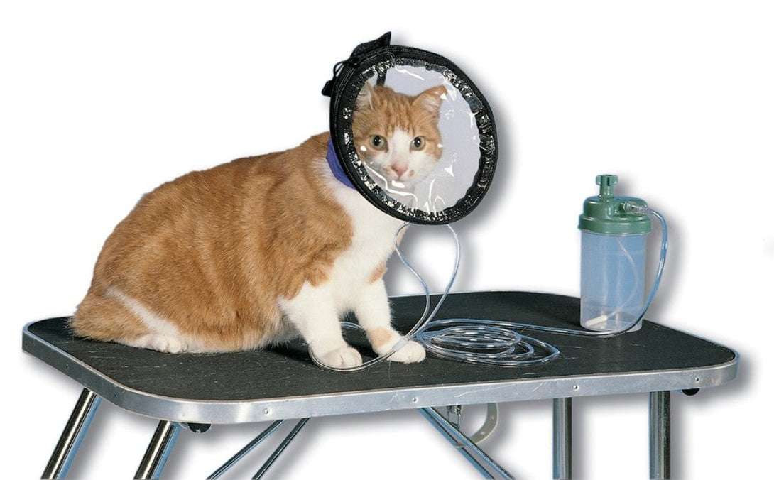 Oxyhood kit - medium