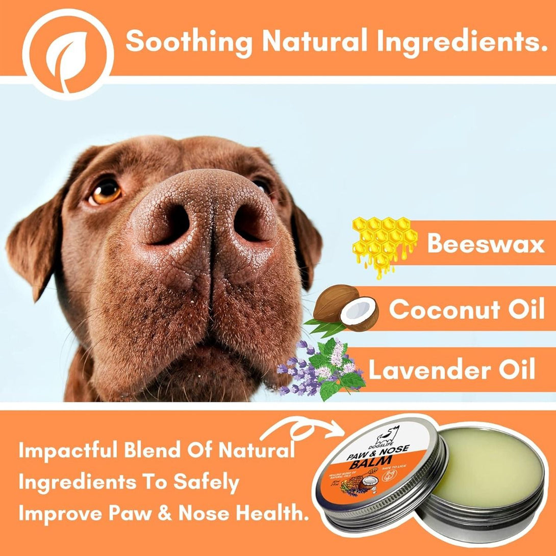 DogsLife Paw & Nose Balm Dog 60ml - 60ML