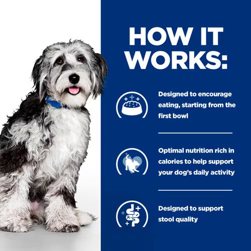 Hill’s Prescription Diet On-Care Dry Dog Food (1.5KG)