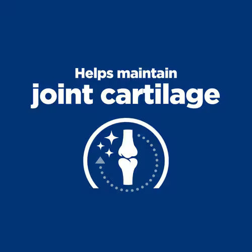 Hill’s Prescription Diet Joint Care j/d Canine Chicken (12x370g)