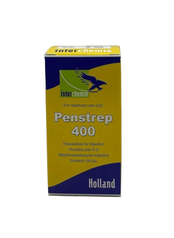 Penstrep 400 100ml - Shopivet.com