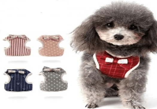 Pet Harness Leash - Shopivet.com