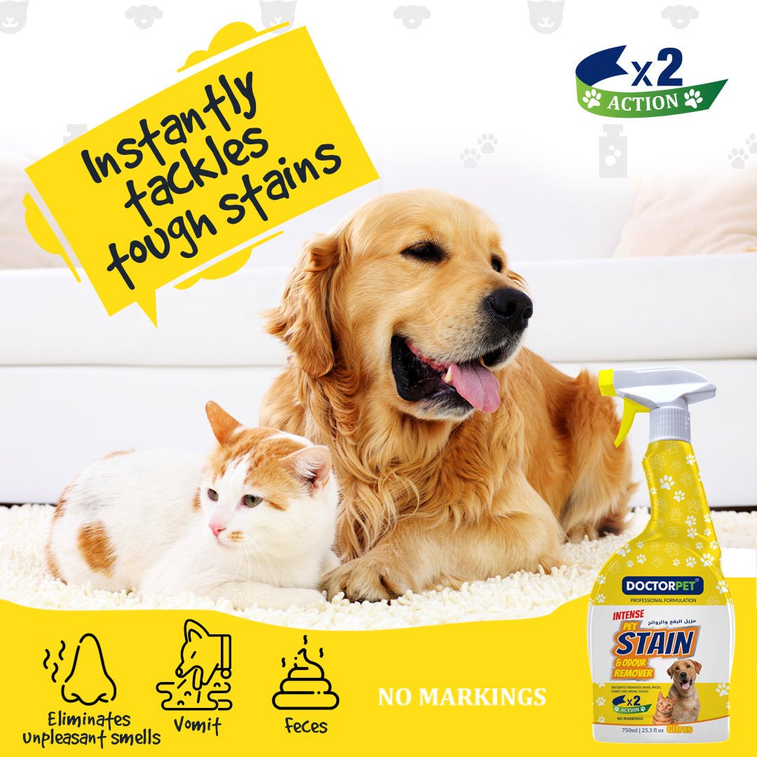 Pet Stain & Odur Remover - Shopivet.com