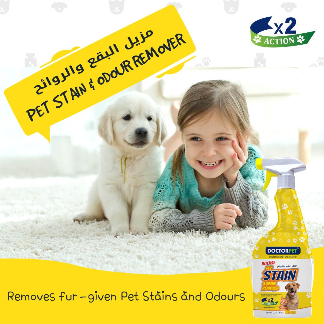 Pet Stain & Odur Remover - Shopivet.com