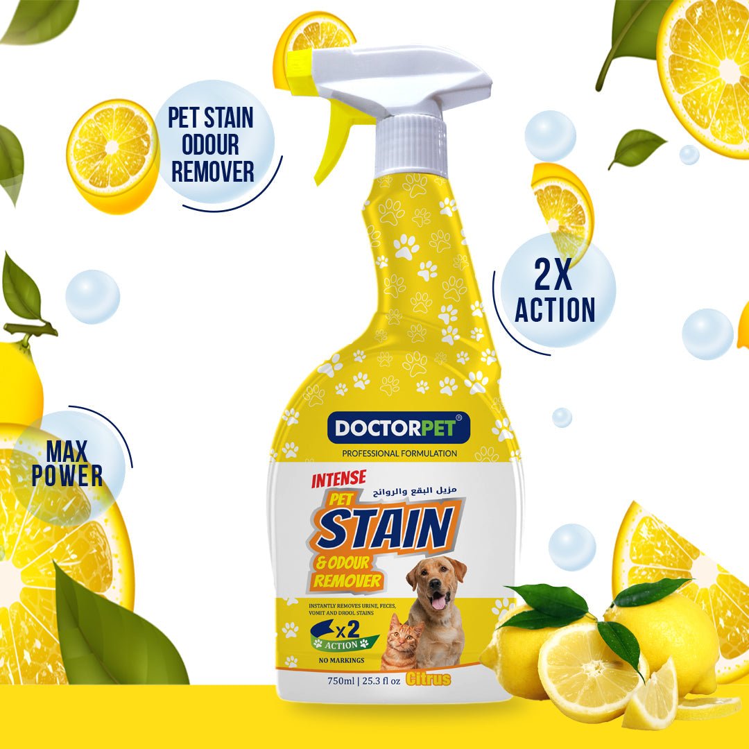 Pet Stain & Odur Remover - Shopivet.com