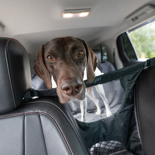 Pet Travel Barrier - Shopivet.com