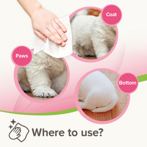 Pet Wipes Sensitive (30 Wipes)