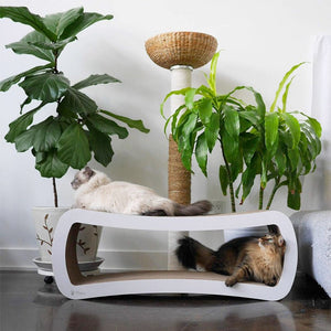 PetFusion Jumbo Cat Scratcher Lounge - Shopivet.com