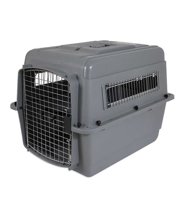 Petmate Sky Kennel Dog Crate - INTER - Shopivet.com