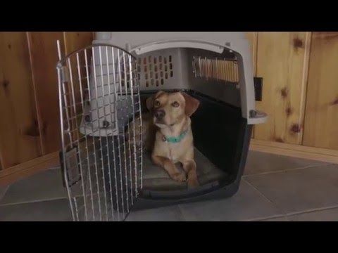 Petmate Sky Kennel Dog Crate - INTER - Shopivet.com