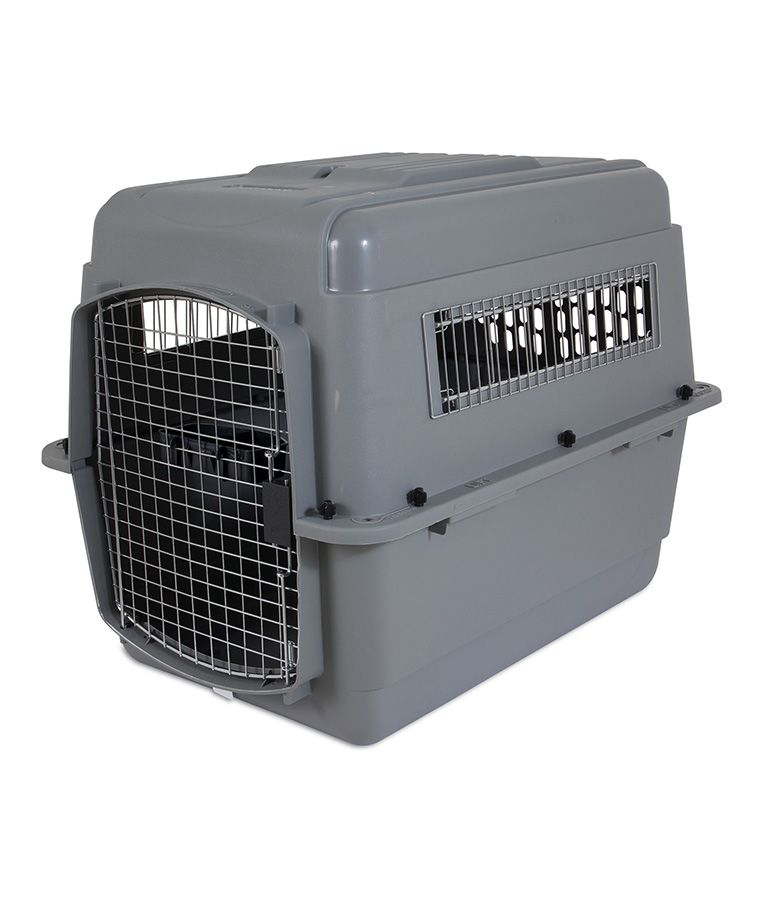 Petmate Sky Kennel Dog Crate - INTER - Shopivet.com