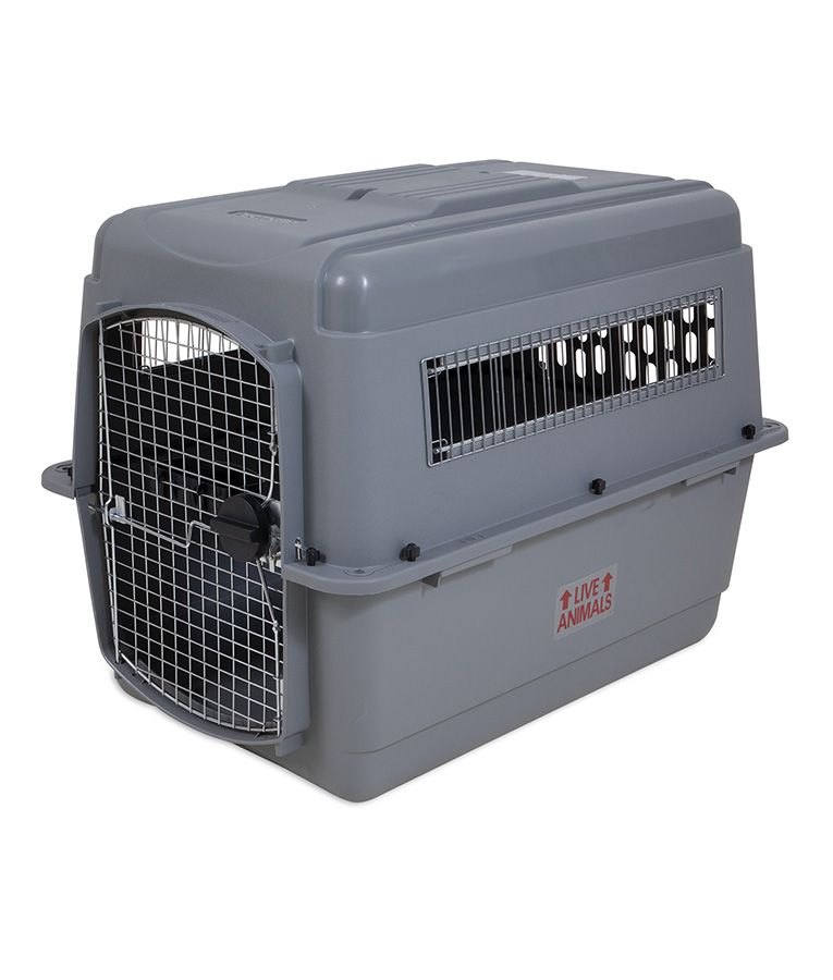 Petmate Sky Kennel Dog Crate - L - Shopivet.com