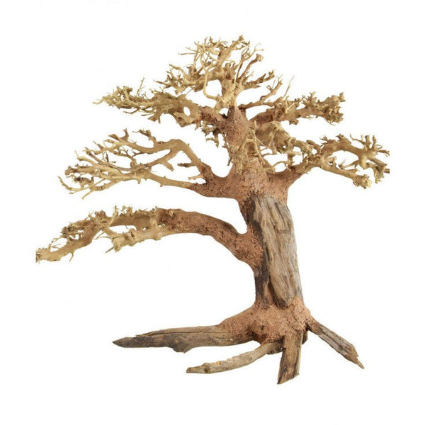 PINE BONSAI WOOD - MEDIUM / 30X23X13CM / BOX - Shopivet.com