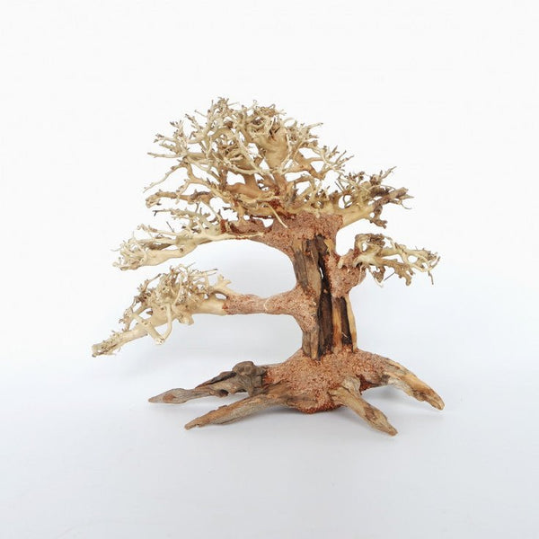 PINE BONSAI WOOD - SMALL / 23X17X10CM / BOX - Shopivet.com