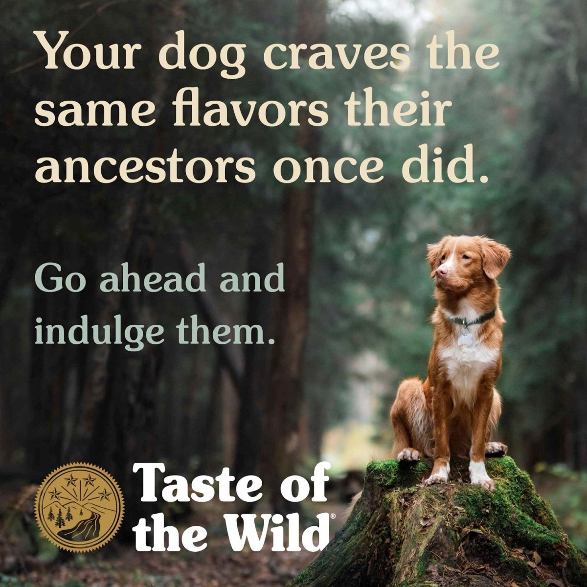 Pine Forest Canine Recipe - 2.00kg (4.40 lbs) - Shopivet.com