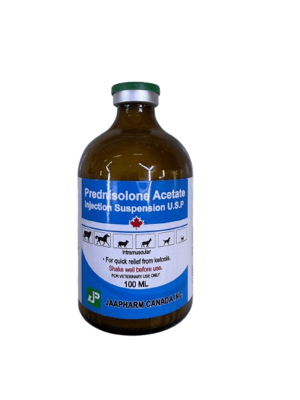 Prednisolone 100ml - Shopivet.com