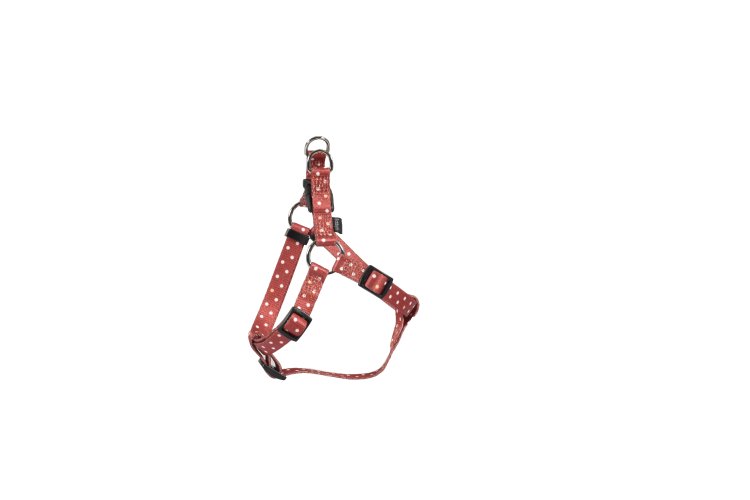 Pretty Boudrier Harness - Brick / Large - Shopivet.com