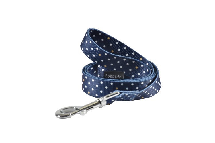 Pretty Leash/ Large - Shopivet.com