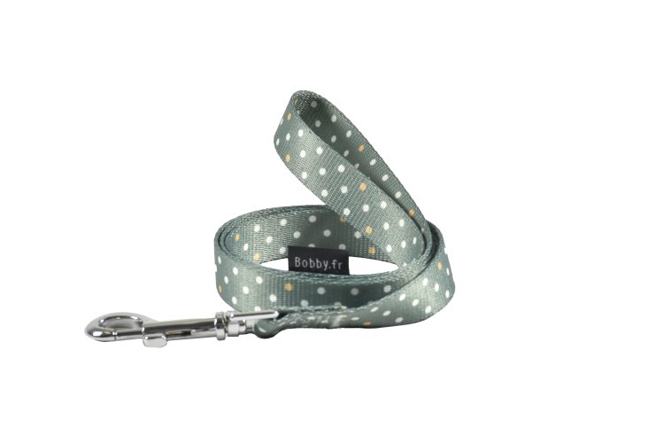 Pretty Leash/ Large - Shopivet.com