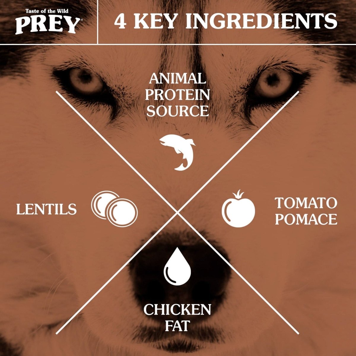PREY Trout Limited Ingredient Formula for Dogs - 3.63kg (8 lbs) - Shopivet.com