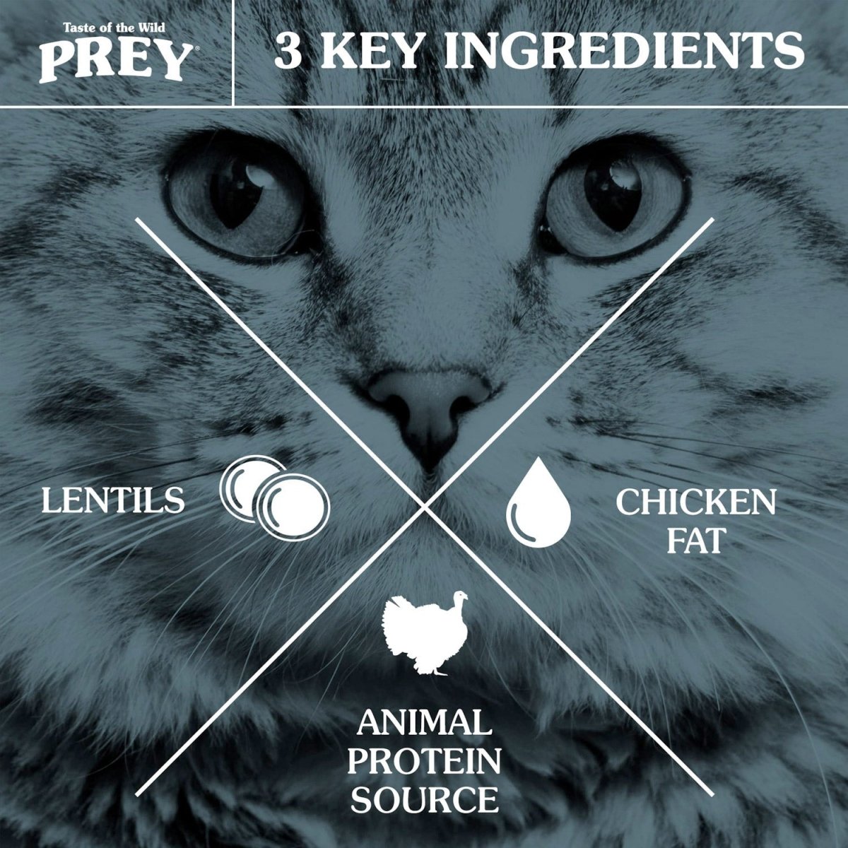 PREY Turkey Limited Ingredient Formula for Cats - 2.7kg (6 lbs) - Shopivet.com