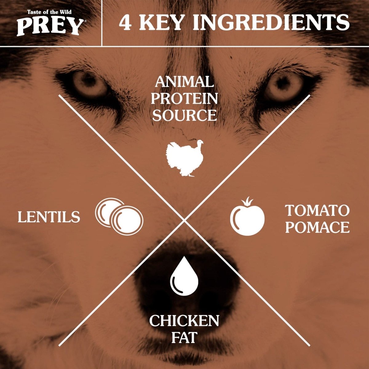 PREY Turkey Limited Ingredient Formula for Dogs - 11.4kg(25 lbs) - Shopivet.com