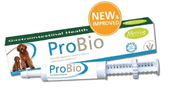 Pro-Bio Dog 30ml Naturally Supports Gut Health and Immunity for Dogs - Shopivet.com
