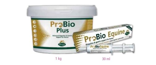 ProBio digestive and gastric support for horses 1kg - Shopivet.com