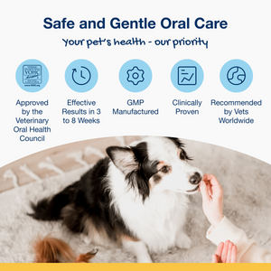 ProDen PlaqueOff Dental Bites for Small Dogs - Veggie Flavour 60 g