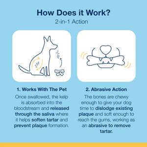 ProDen PlaqueOff Dental Care Bones - Bacon Flavour 482 g