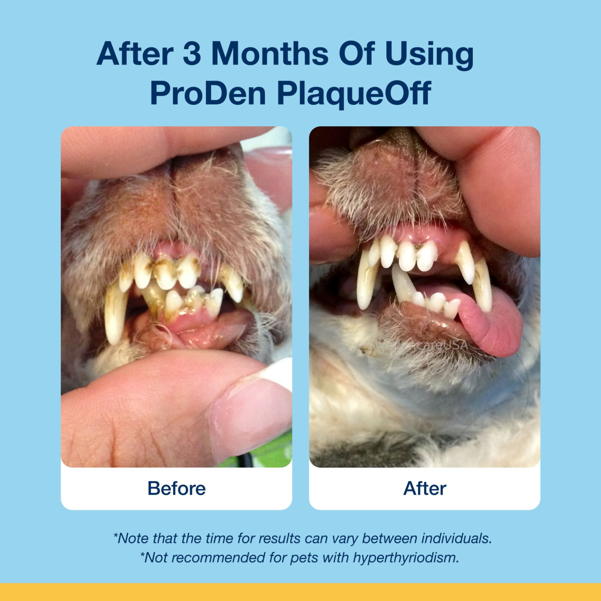 ProDen PlaqueOff Soft Chews for L/Giant Dogs  - 60 chews, 180 g