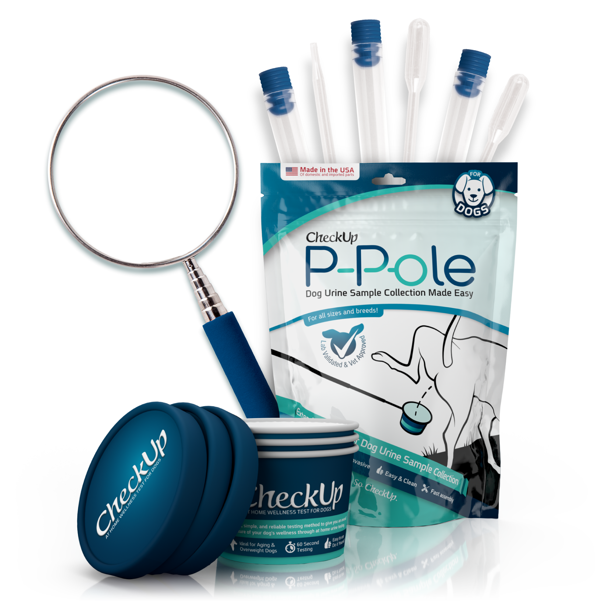 The P-Pole