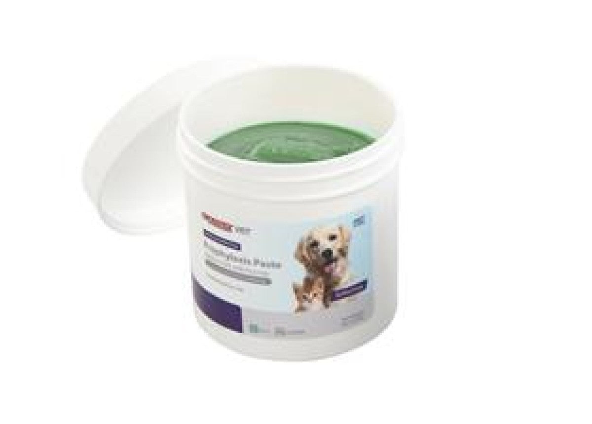 Prophylaxis paste, medium grit, mint, 25.5 g