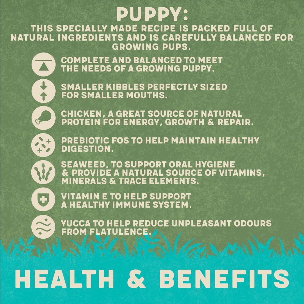 Harringtons Complete Chicken & Rice Dry Puppy Food 10kg - 10kg