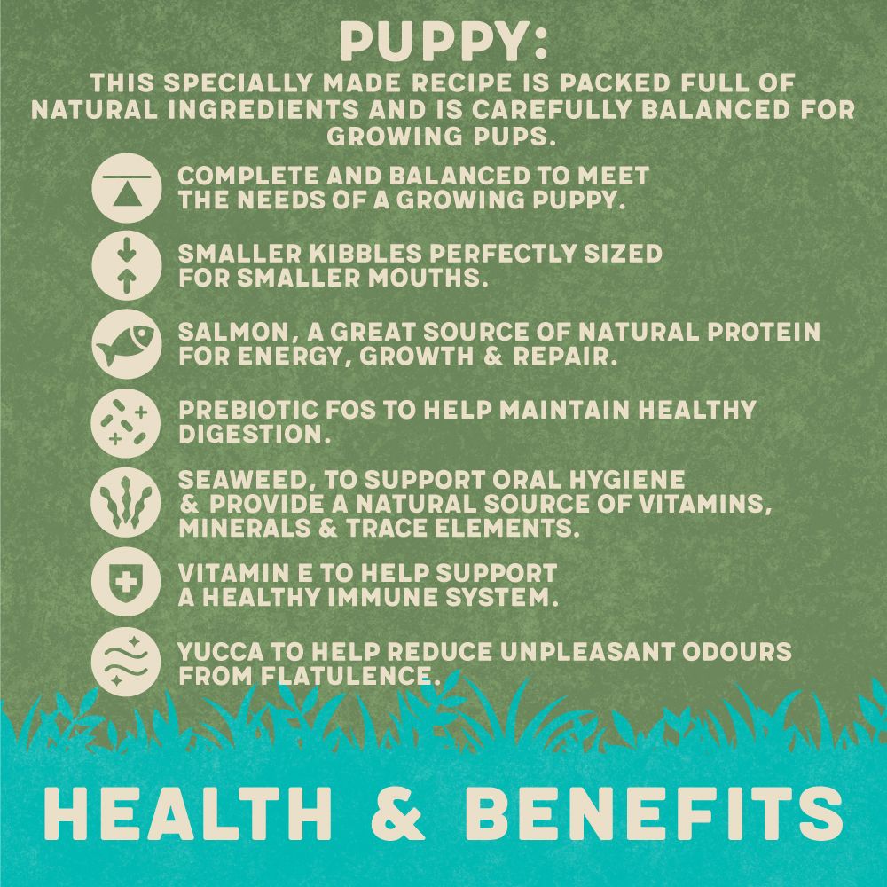 Harringtons Complete Salmon & Rice Dry Puppy Food 10kg - 10kg