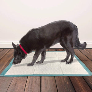 Puppy Training Pads XL – 10 - Shopivet.com