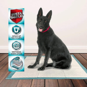 Puppy Training Pads XL – 10 - Shopivet.com