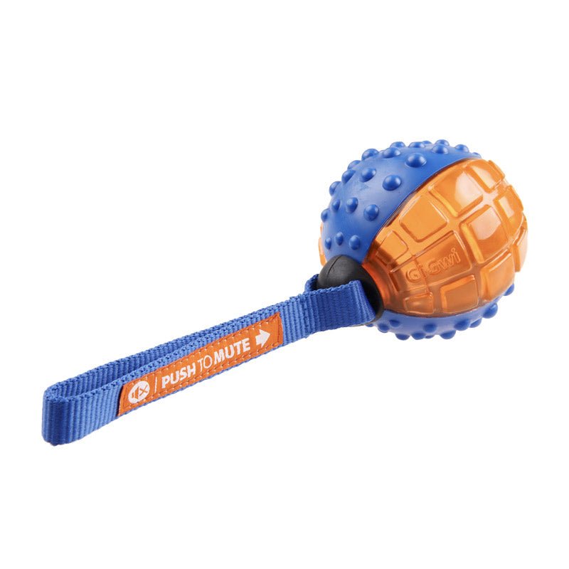 Push To Mute Regular Ball Blue/Orange/Transparent - Shopivet.com