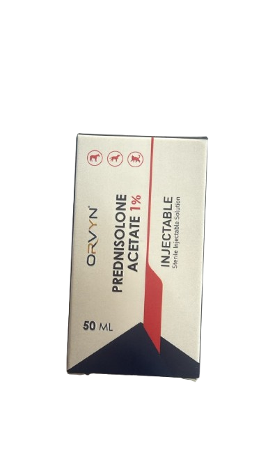 ORVYN PREDNISOLONE ACETATE 1% 50ml