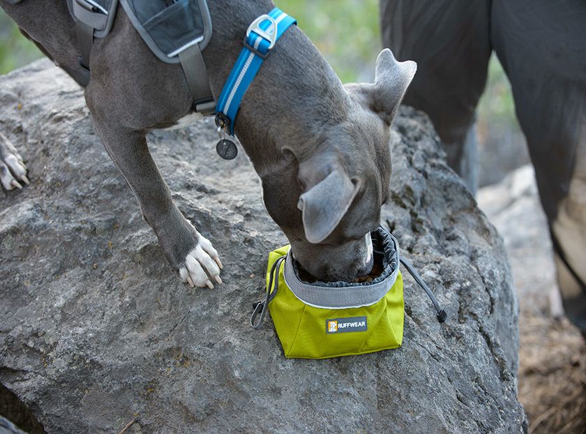 Ruffwear Quencher Cinch Top Packable Dog Bowl  - BLUE M