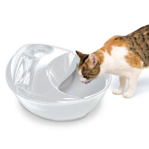 Raindrop Durable Ceramic Pet Fountain 60oz (White) - Shopivet.com